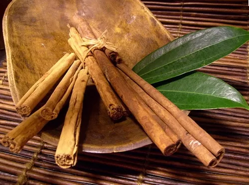 Vietnamese cinnamon is highly valued in the global market.