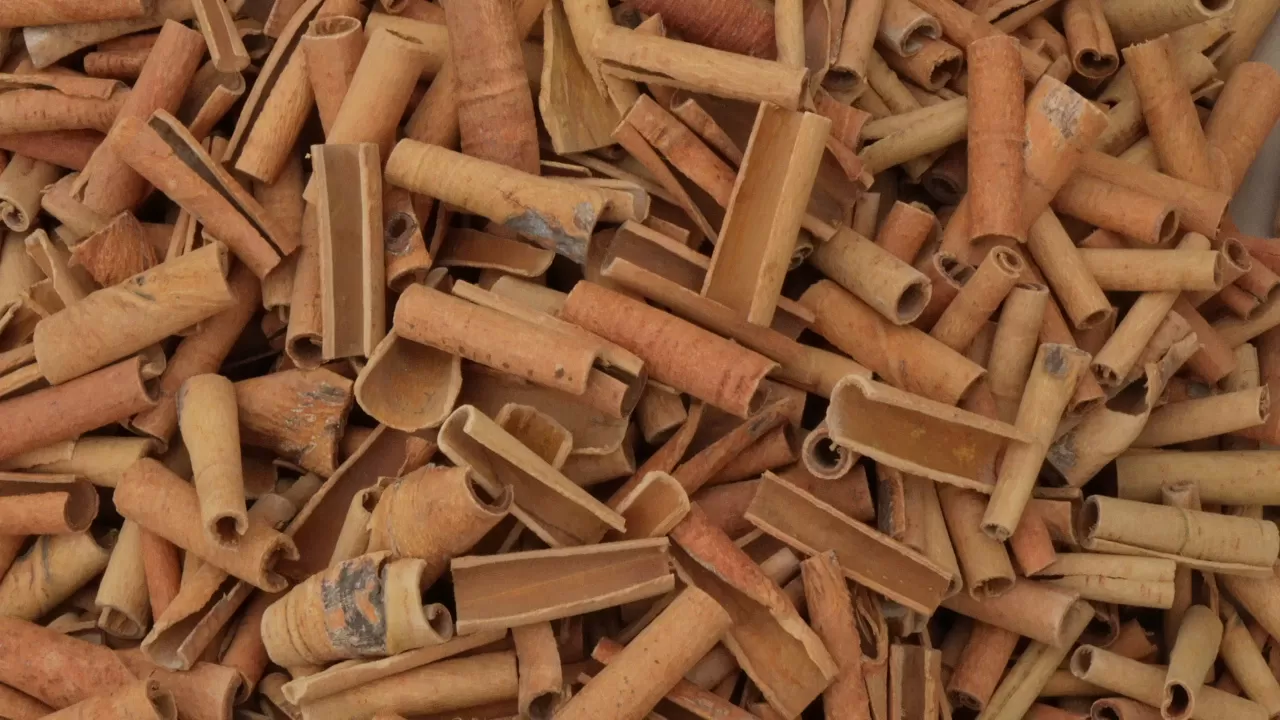 Cut and broken Vietnamese cassia cinnamon for export