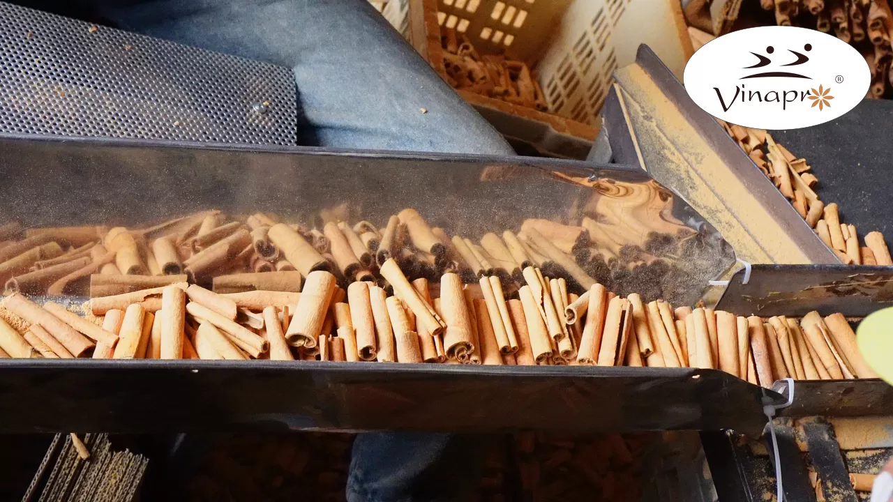 cassia powder production process in Vietnam factory