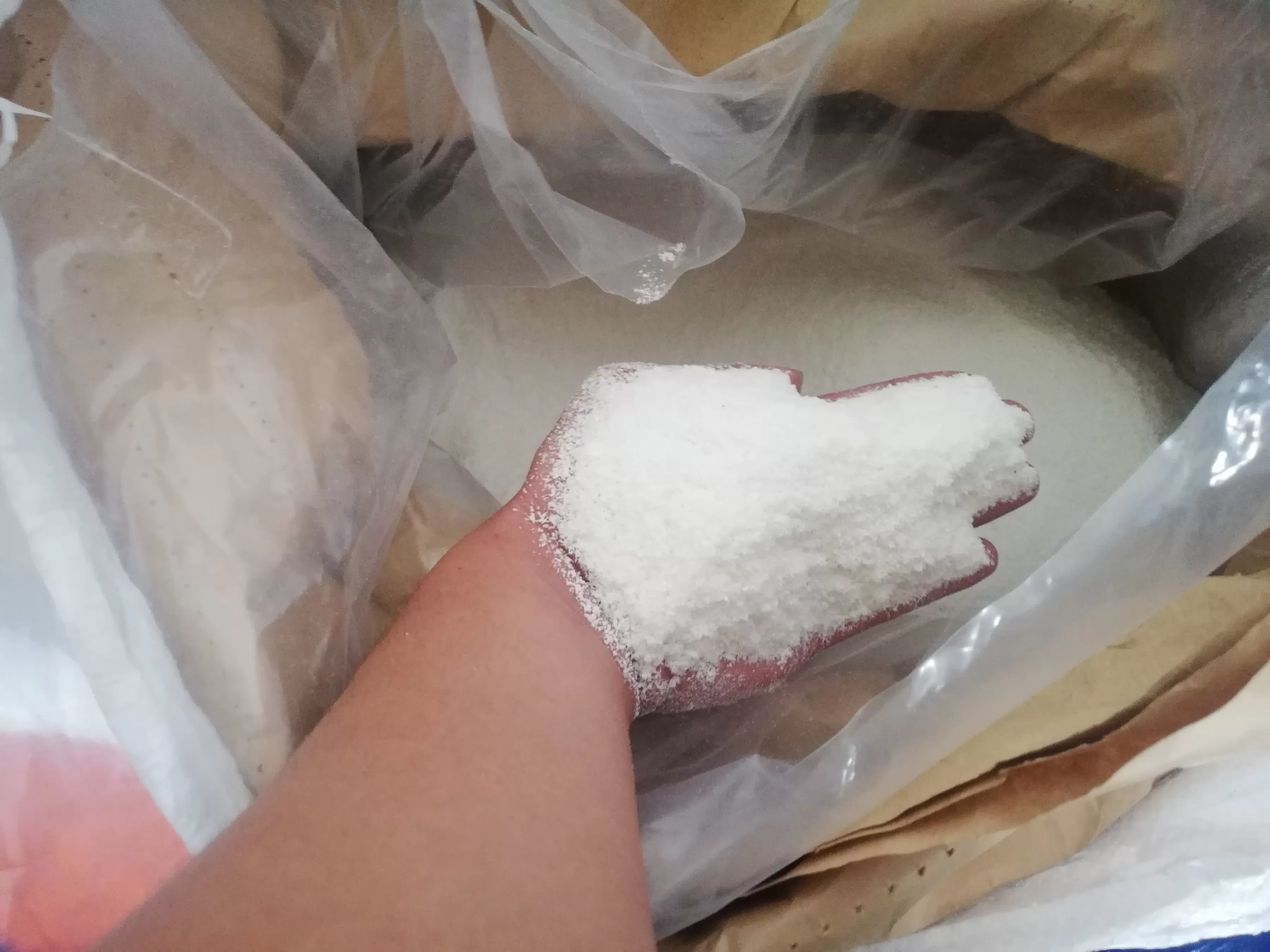  fresh coconut meat used for desiccated coconut production in vietnam