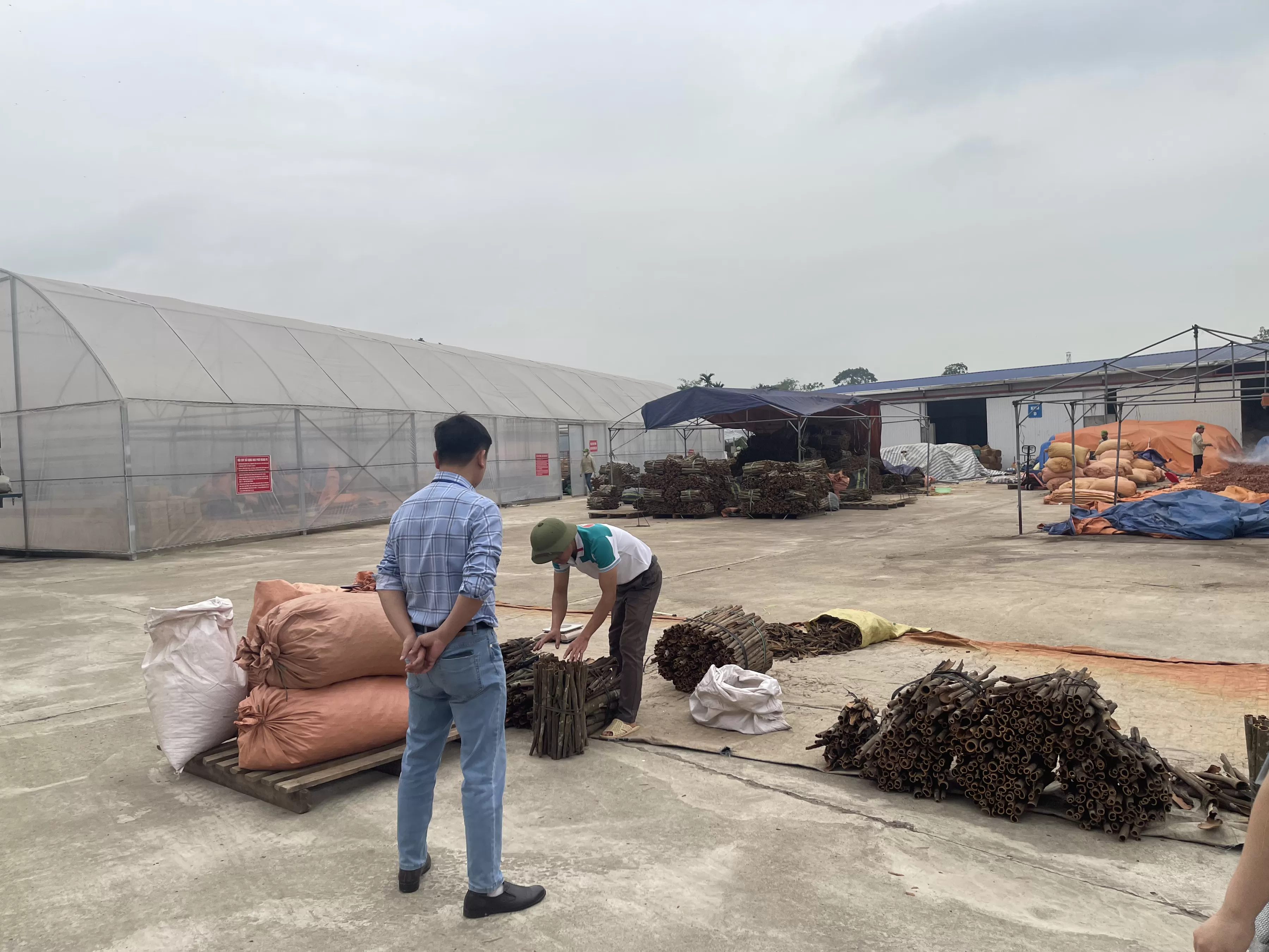 Vietnam cinnamon manufacturer factory – Vinapro Group production facility