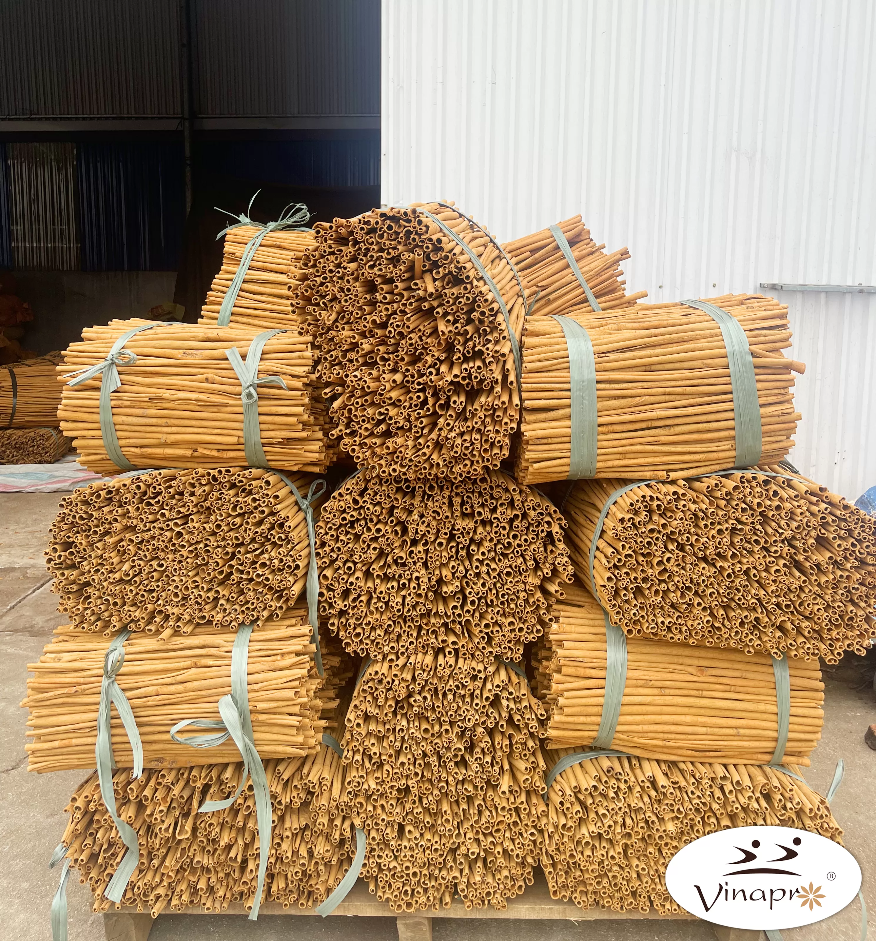 Vietnam cinnamon sticks bundled for export at Vinapro cinnamon factory demonstrating large-scale manufacturing capability.