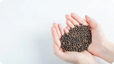 Vinapro Showcases Premium Vietnamese Black Pepper to Global Partners