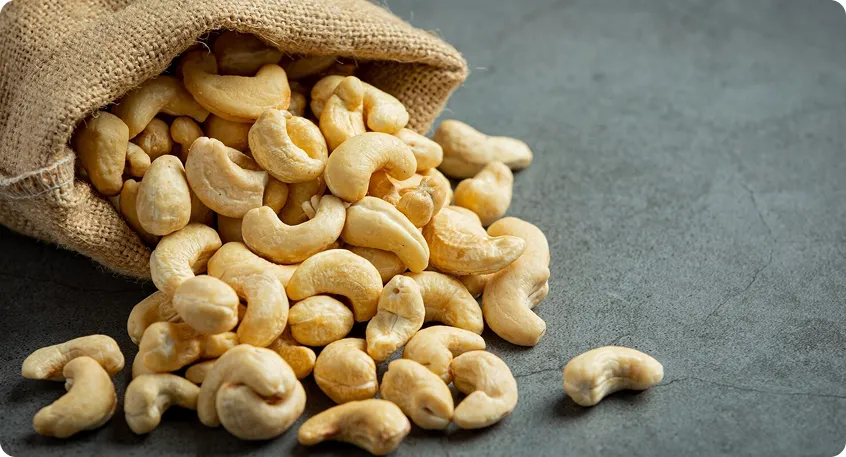 Cashew Processing Factory in Binh Phuoc – The Heart of Vietnam Cashew Industry
