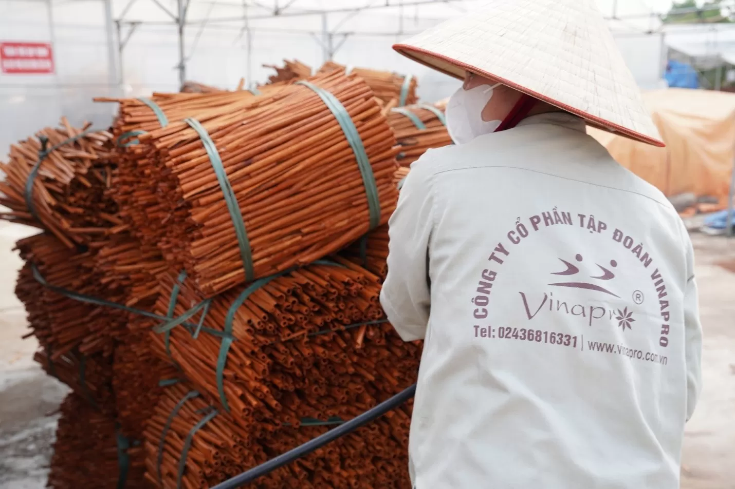 Vinapro Vietnamese cinnamon exporter for global markets