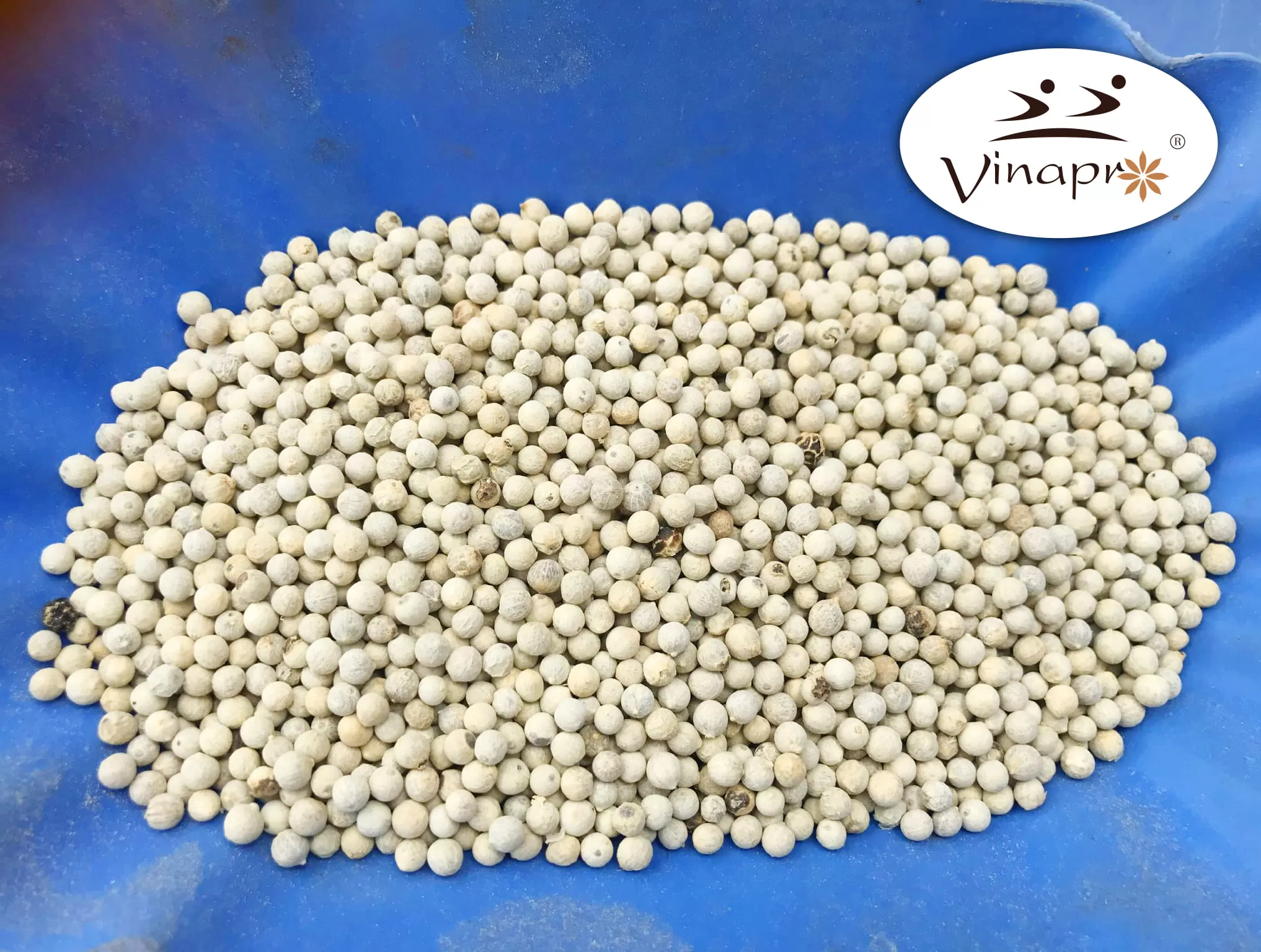 White Pepper