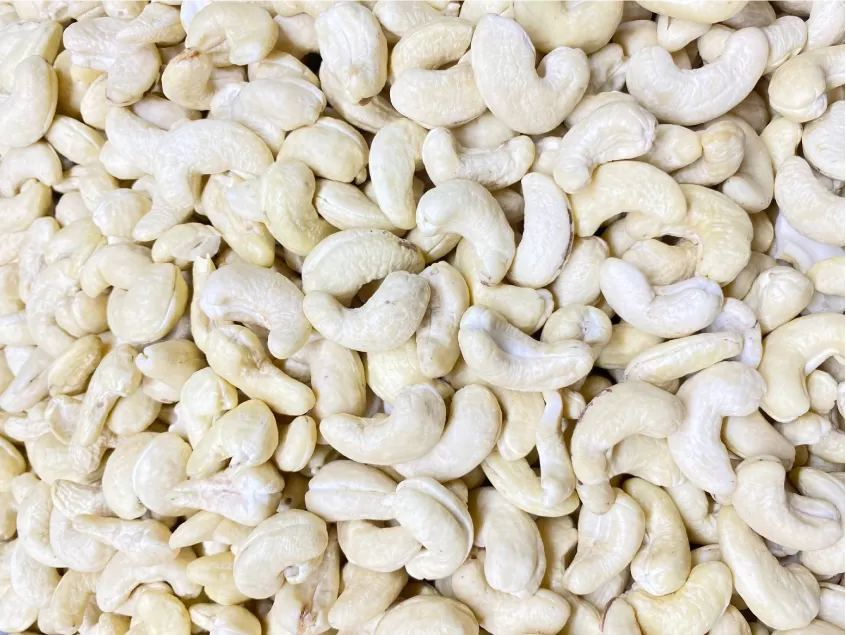 WHITE WHOLE CASHEW NUTS WW320, WW450
