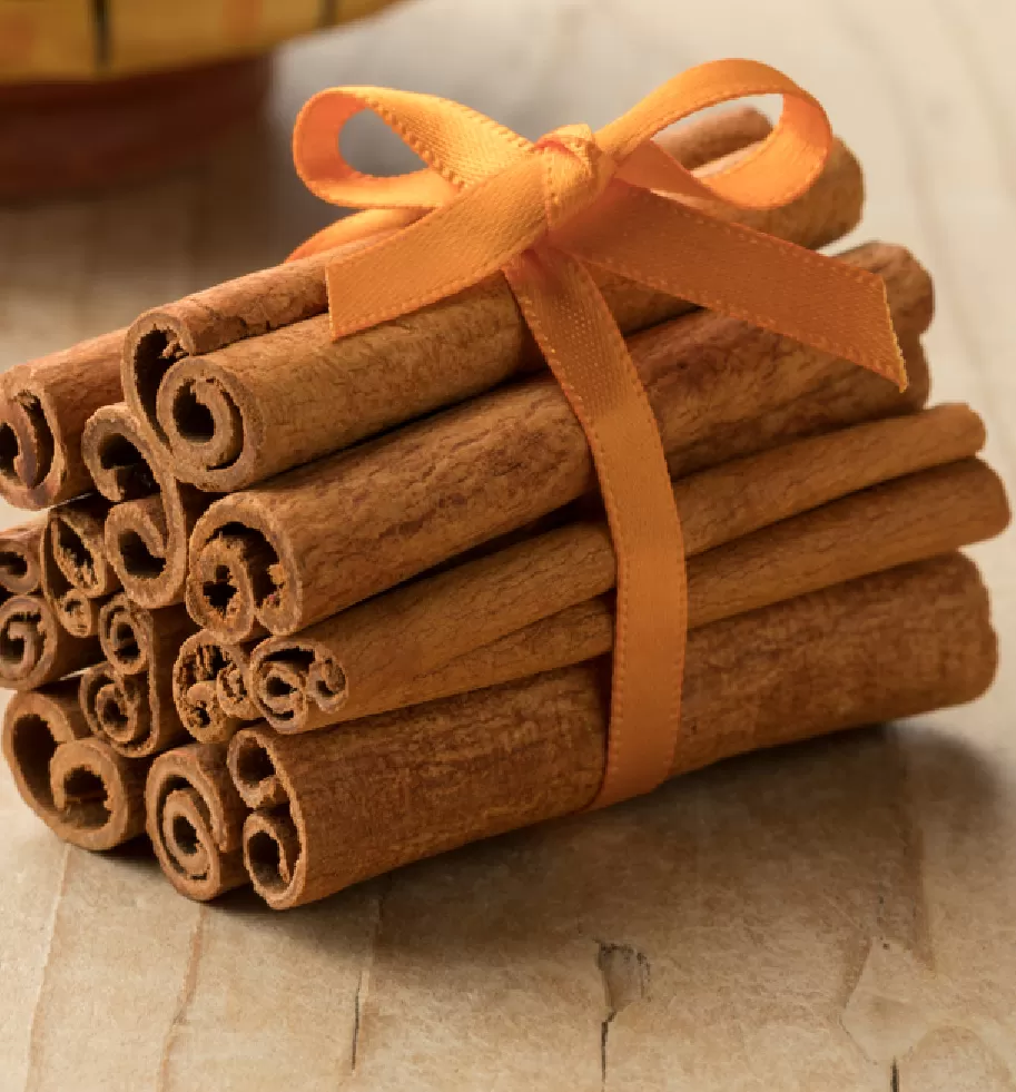 Cigarette Cinnamon – Reliable Supply from Vietnam for Bulk Export