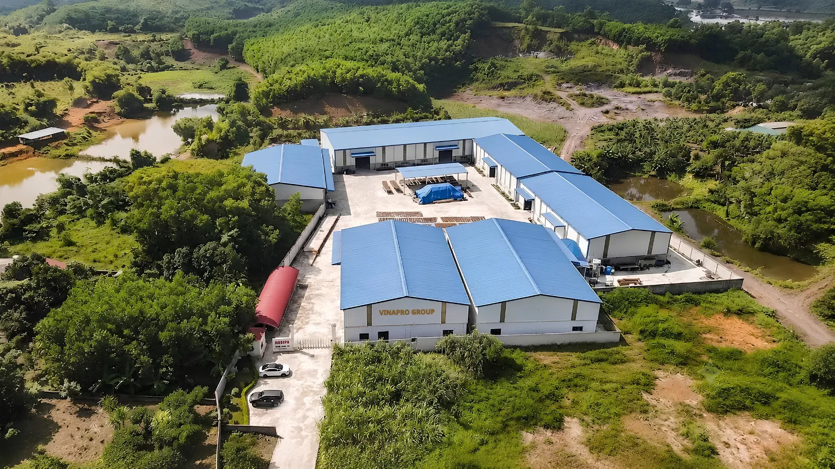 Trusted cinnamon manufacturer in Vietnam