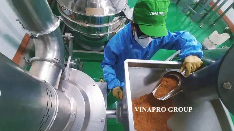  cinnamon powder processing machine Vinapro factory Vietnam