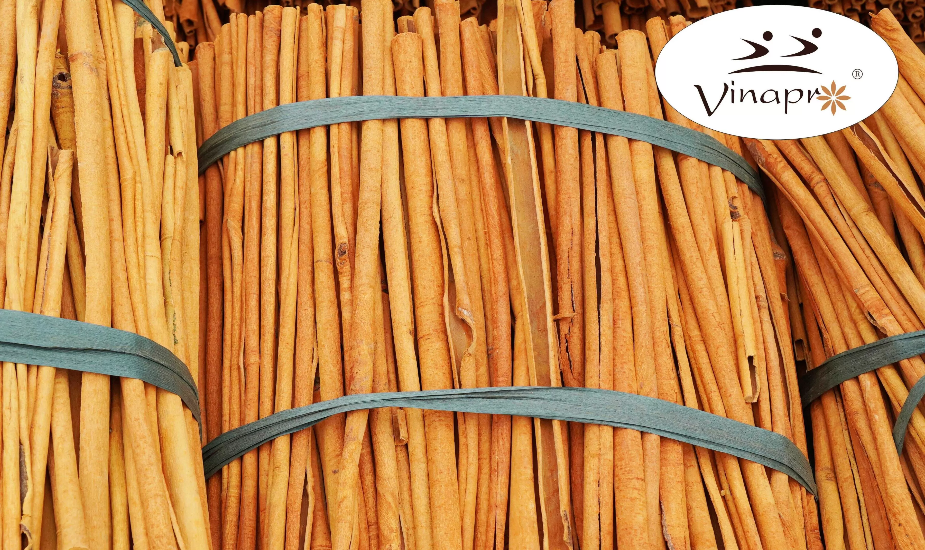 Vietnam stick cinnamon bulk long sticks for export Vietnamese stick cinnamon with high oil content and thick, premium bark
