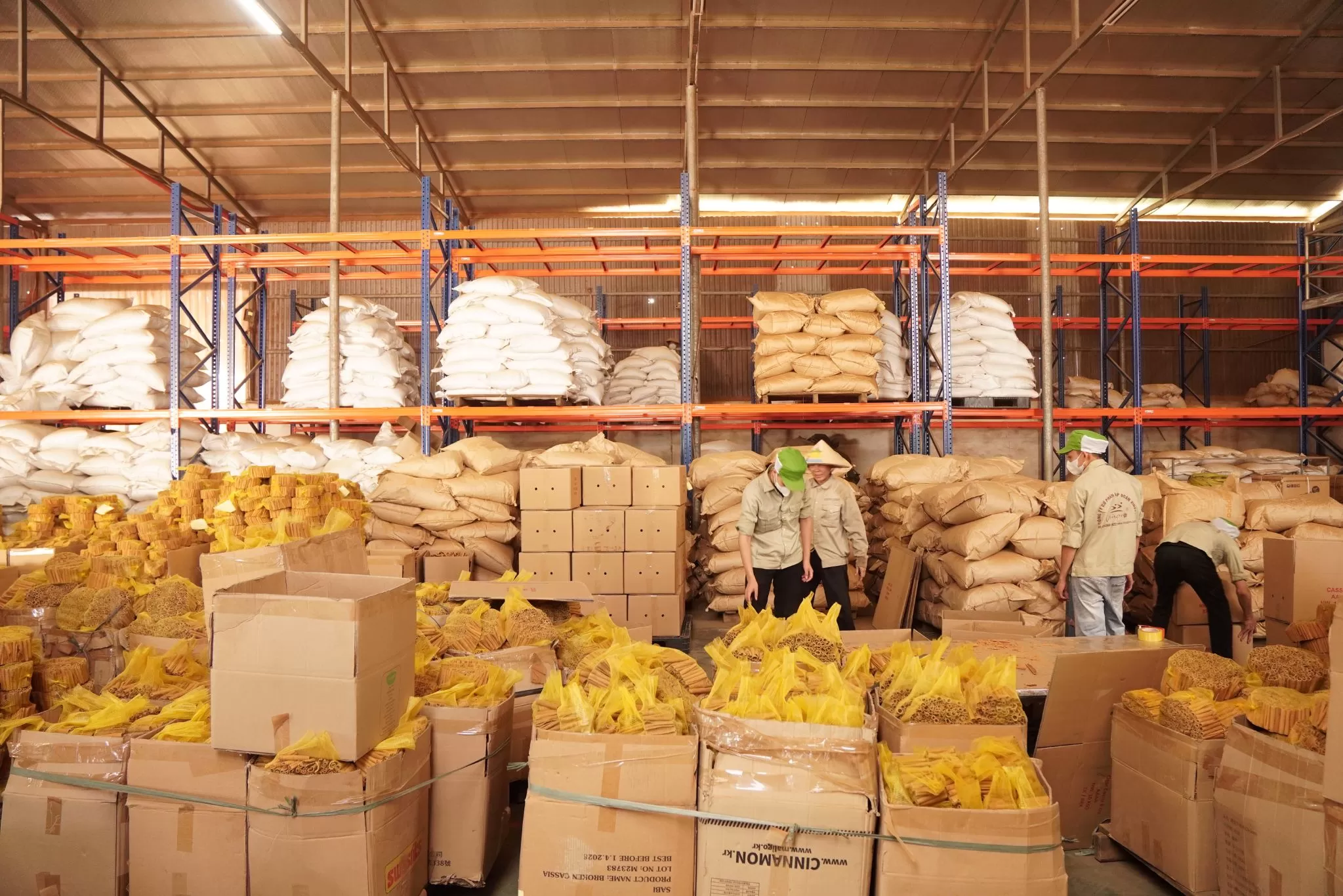 Professional cinnamon manufacturing process