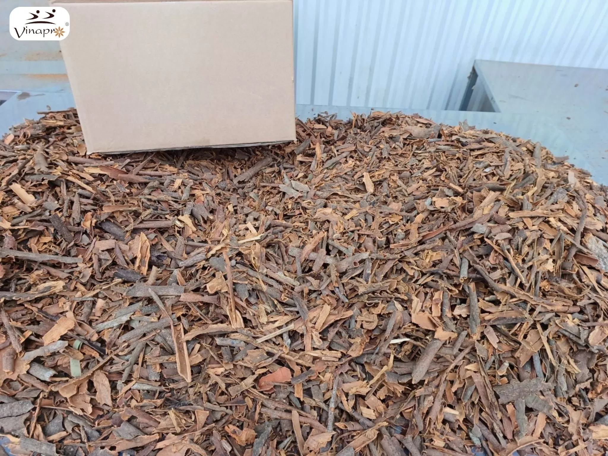 Broken cassia for spice manufacturing