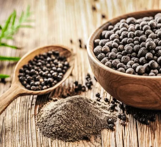 Vietnam Black Pepper Powder Manufacturer & Exporter