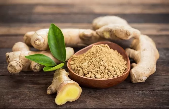 Natural Vietnam ginger powder for food and beverage industry