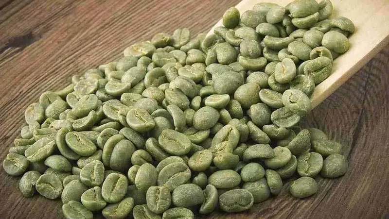 Green coffee beans used in different coffee products