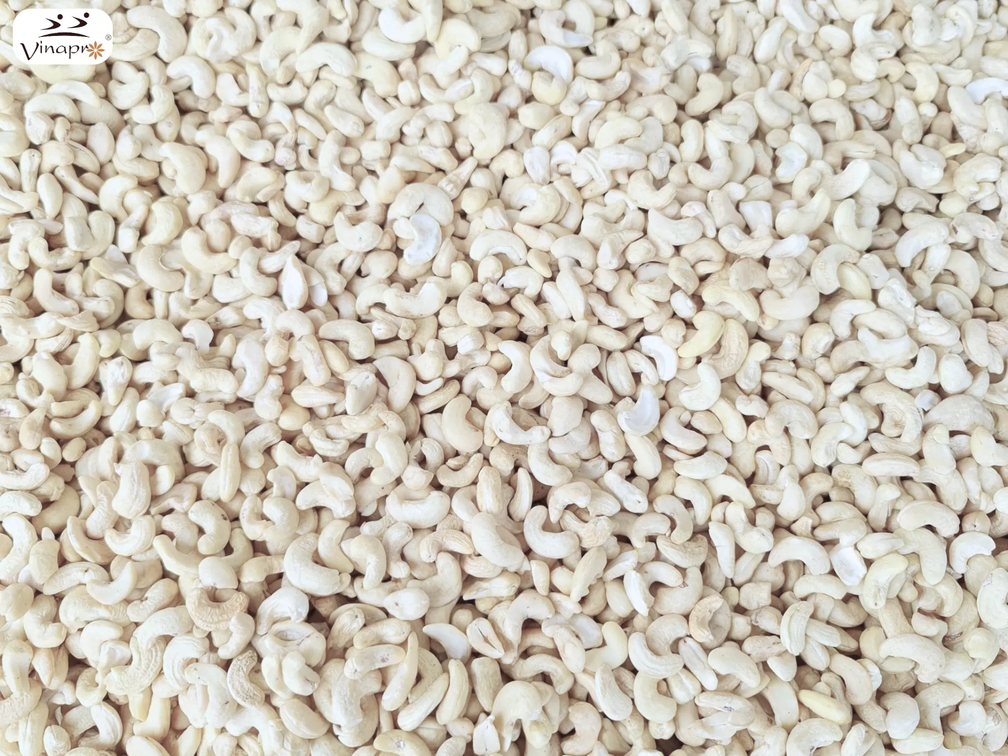 Vinapro premium cashew nuts for global markets