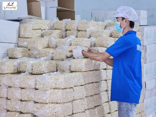 Cashew Nuts FDA Compliant Vietnam Manufacturer for Global Buyers