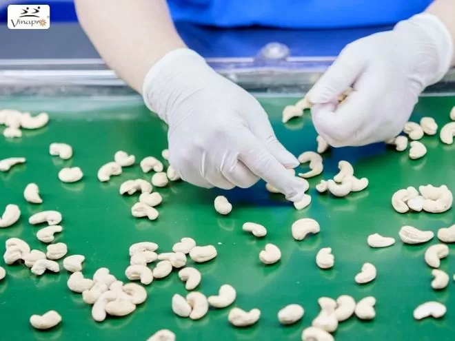  FDA compliance and food safety standards for cashew nut exports