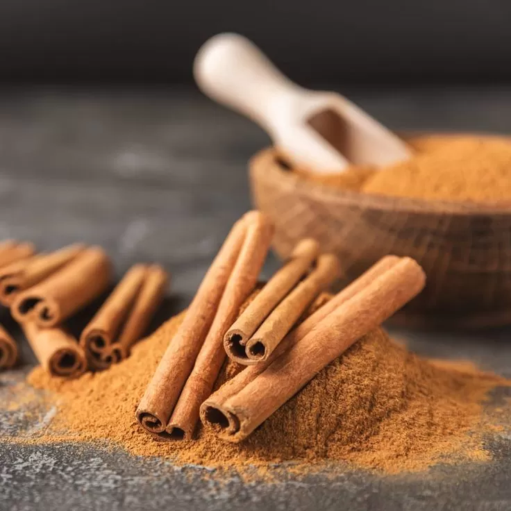 Vietnam Cinnamon Manufacturer | Premium Cinnamon Supplier – Vinapro Group