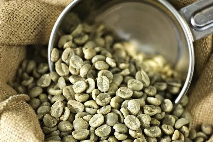 Green coffee beans from Vietnam for export