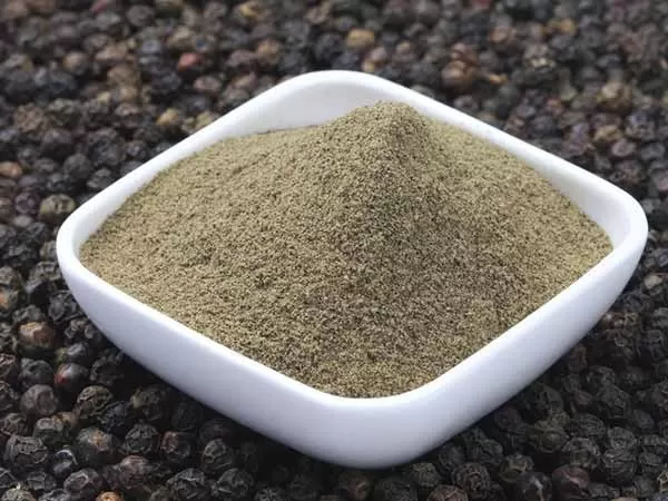 Vietnam ground pepper powder for export