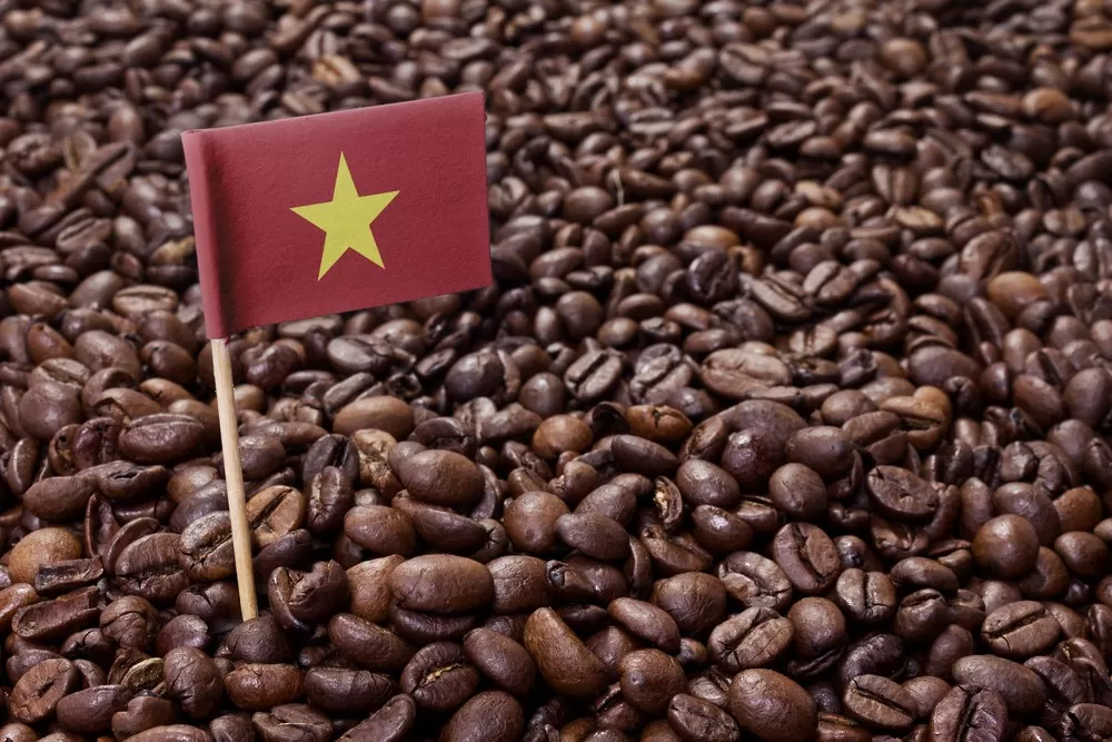 Vietnam coffee beans exported to international markets