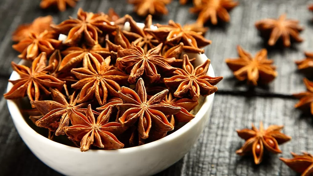 Vietnam export star anise applications