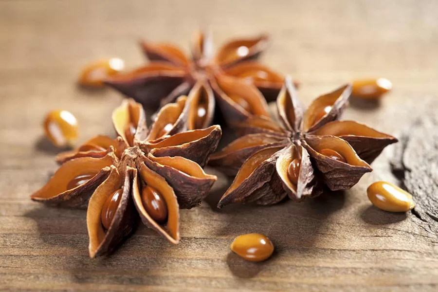 Spring Star Aniseed from Vietnam – Premium Quality for Export Supply