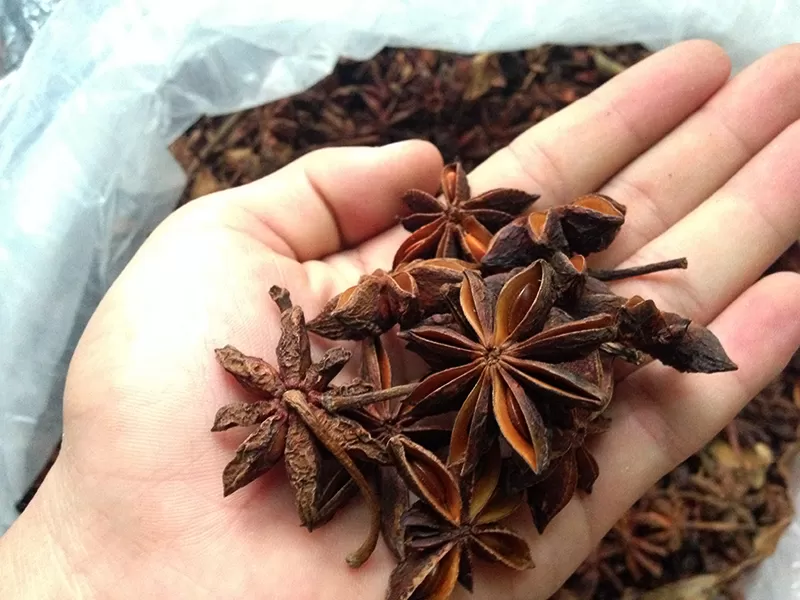 Premium star anise for food industry applications
