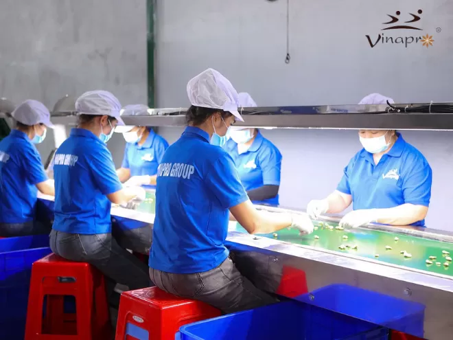  Workers processing Vietnam cashew nuts in a certified export factory