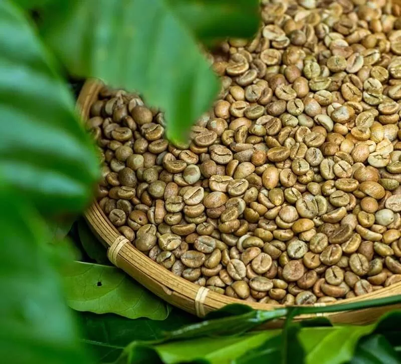 Vietnam Coffee Beans for Export – Premium Quality Global Supply