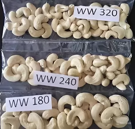 cashew kernel grading W180 W240 W320