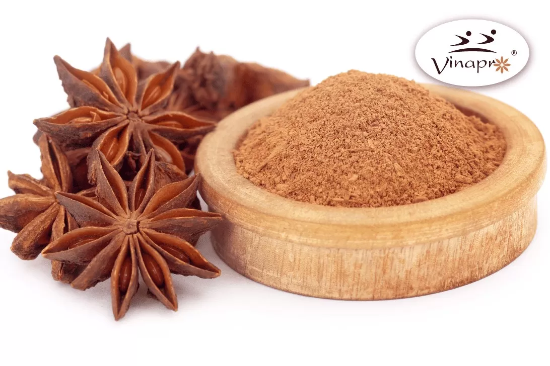 Vinapro Star Anise – Premium Spice for the Global Food Industry