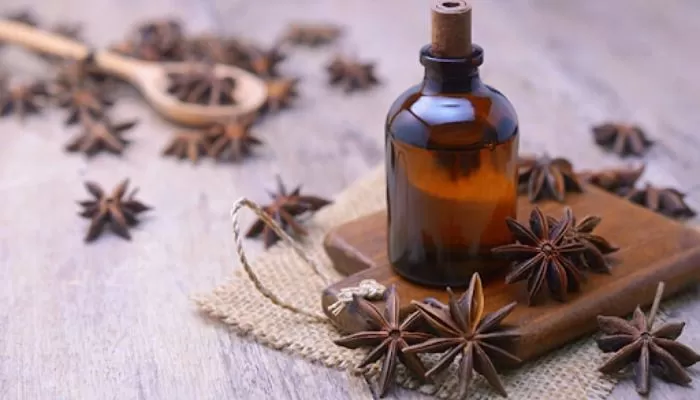 Star anise essential oil production in Vietnam