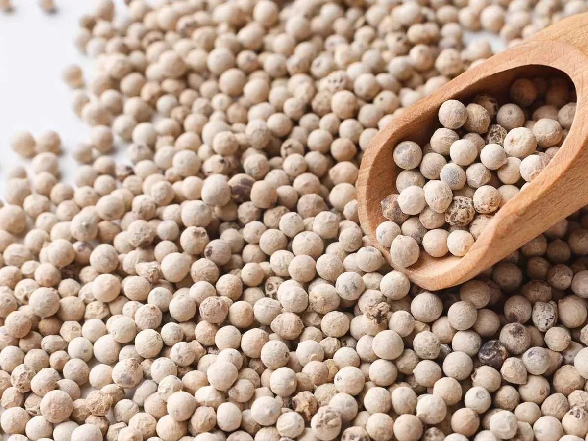 Vietnam ground white pepper bulk supplier