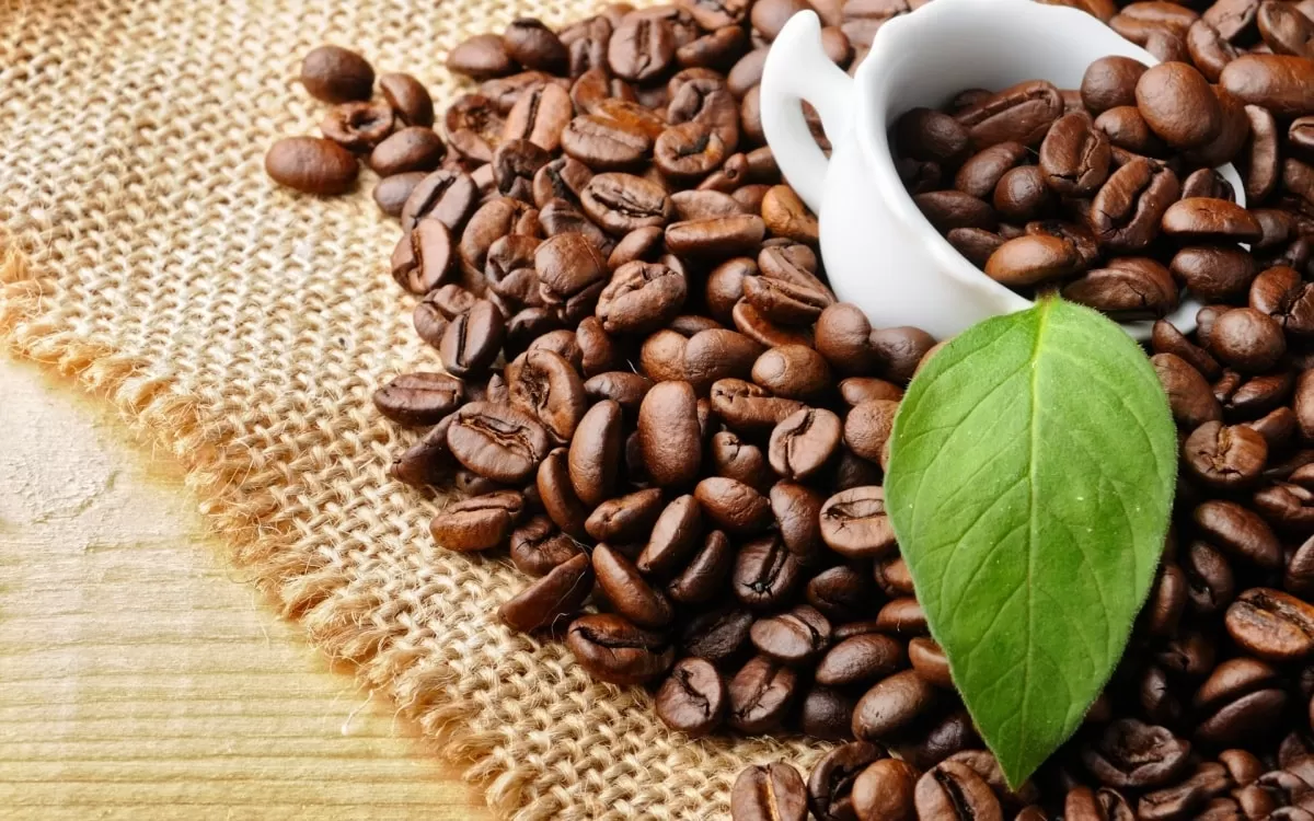 High-quality Vietnam coffee beans for global coffee export markets