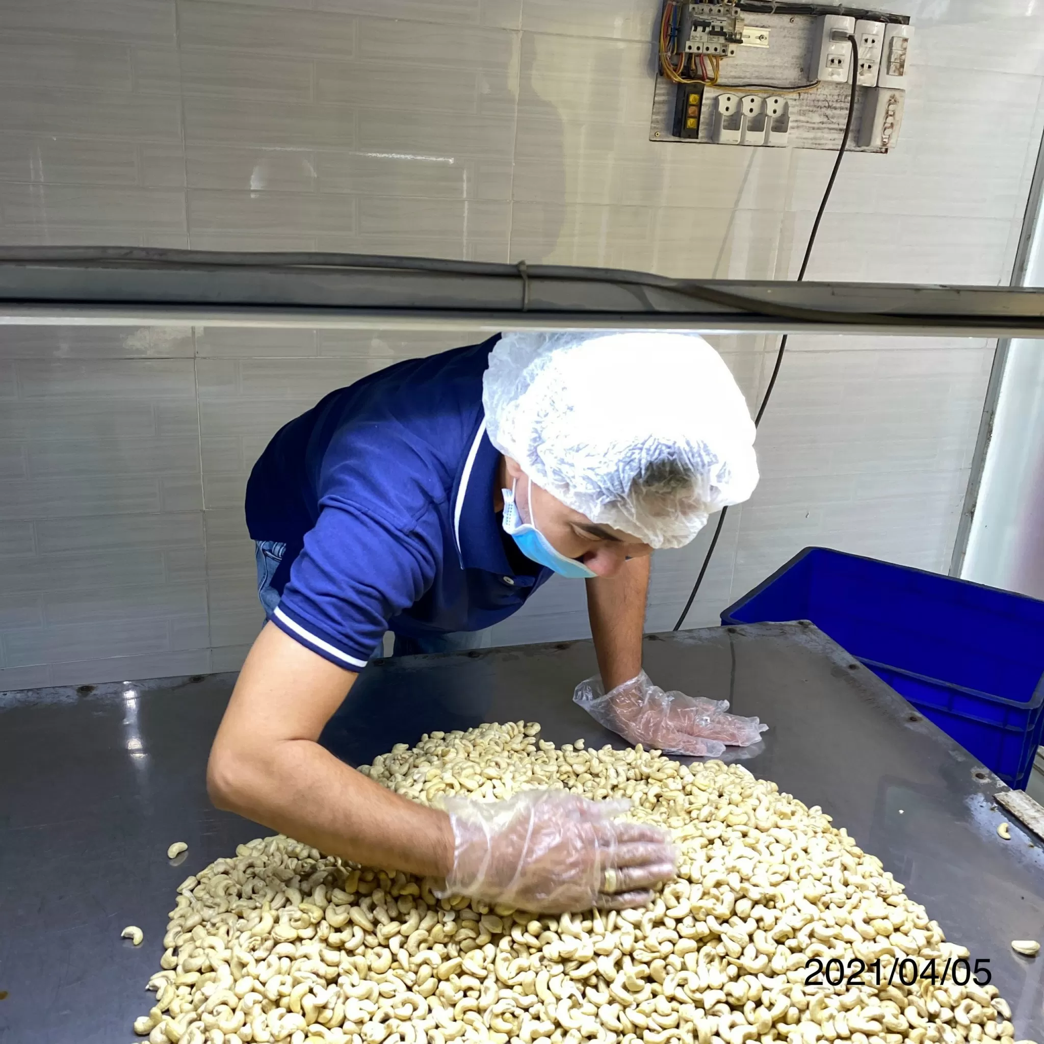 WHITE WHOLE CASHEW NUTS WW320, WW450