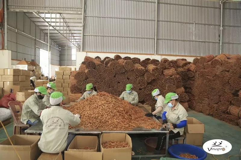 global demand for cassia powder in international spice market