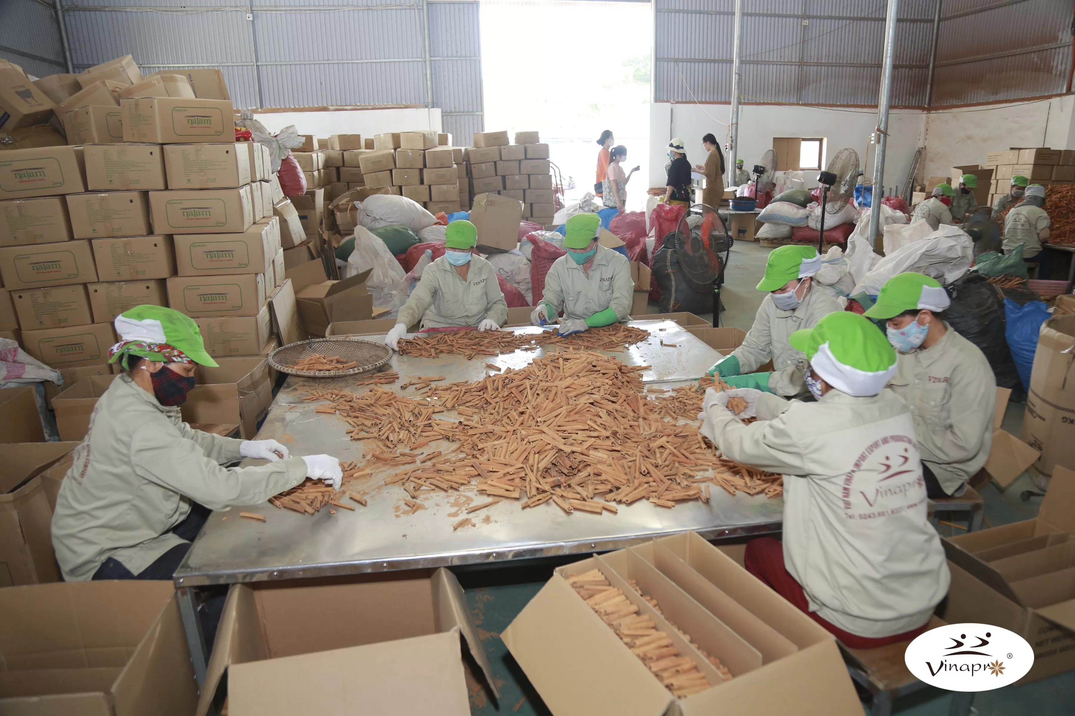 Cinnamon powder production process at Vinapro factory