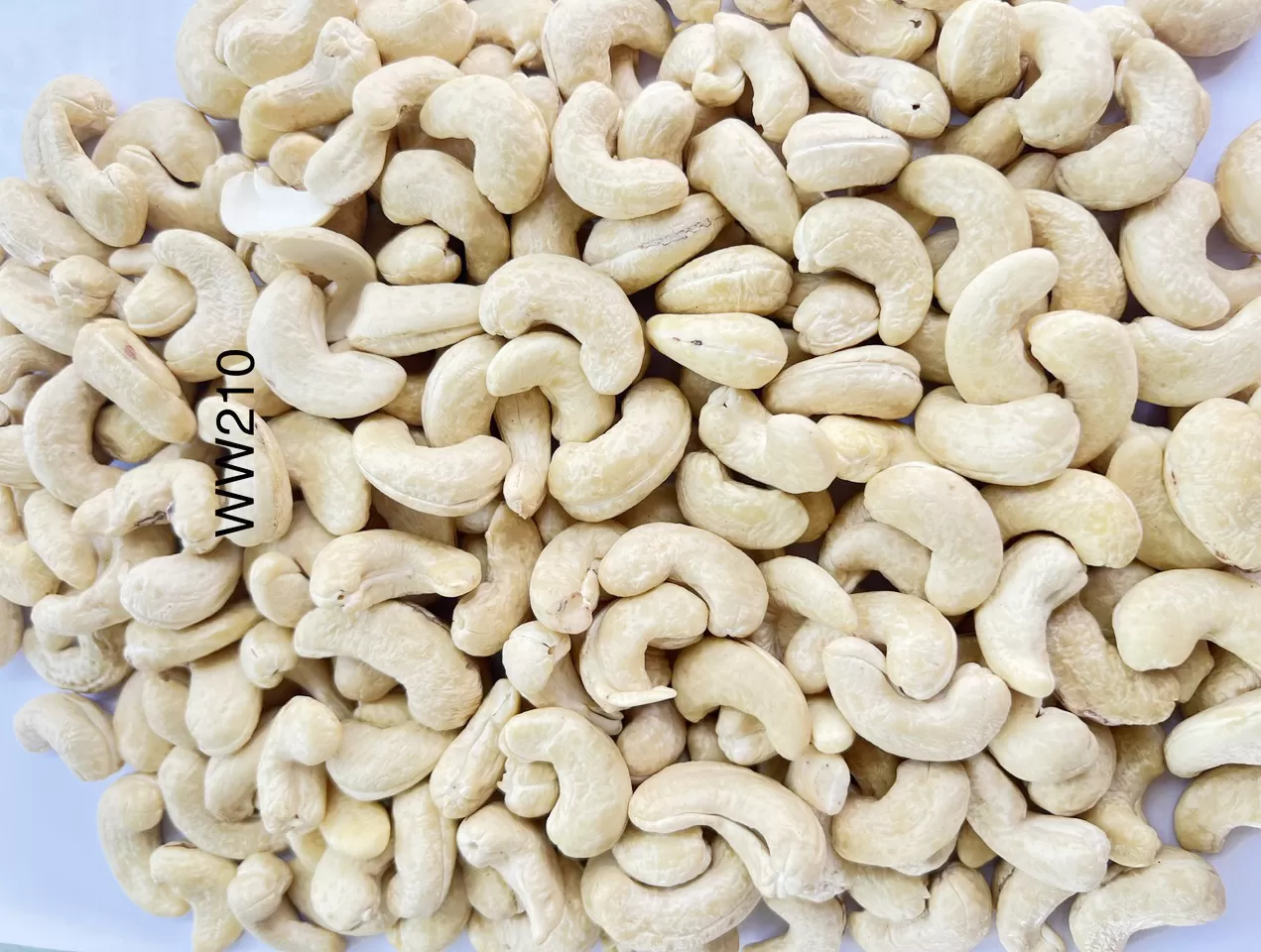 WHOLE CASHEW NUTS WW210