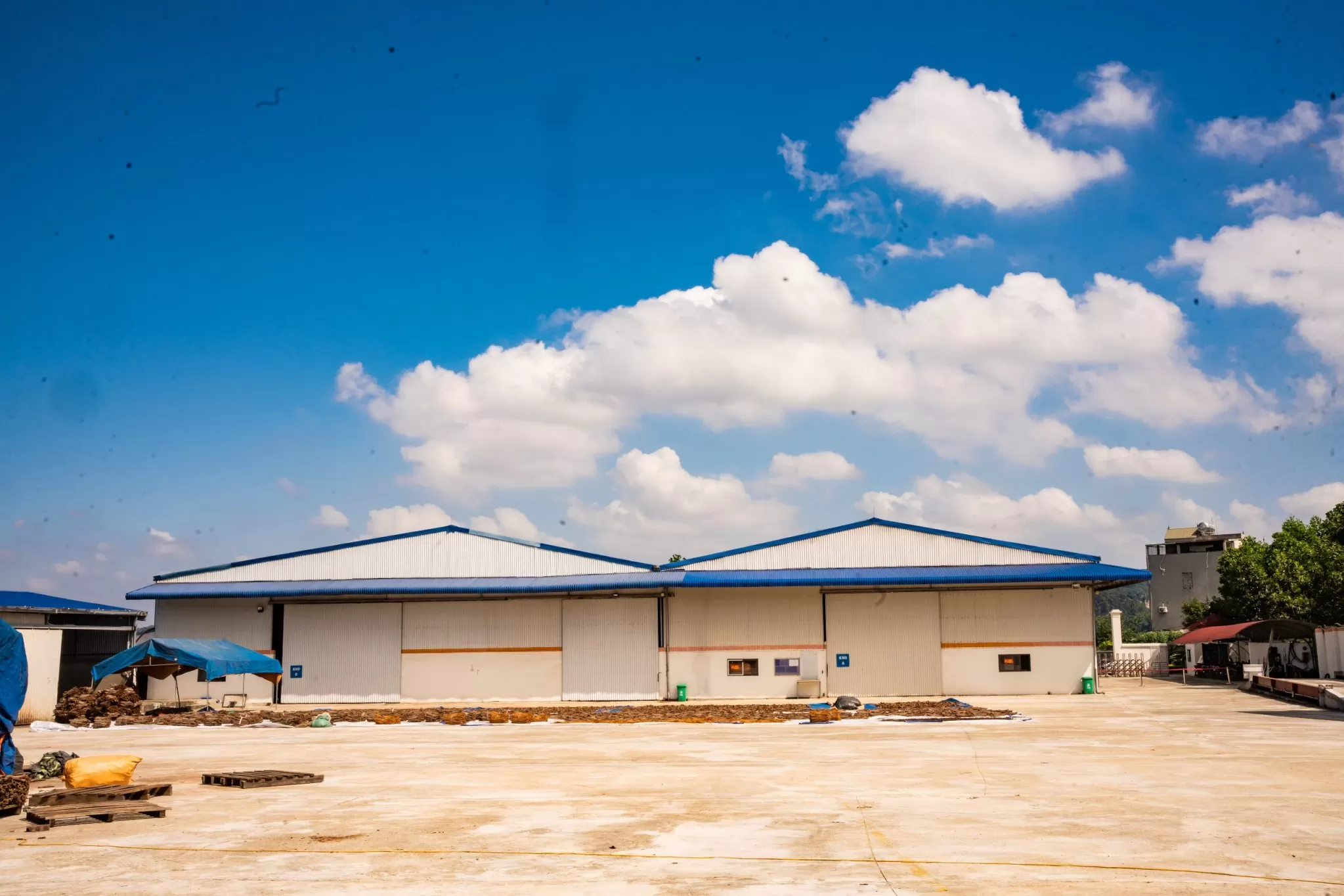 Vinapro cinnamon drying process in Vietnam