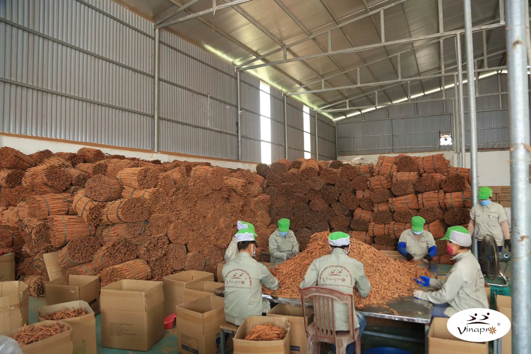 stable cinnamon supply at Vinapro Vietnam