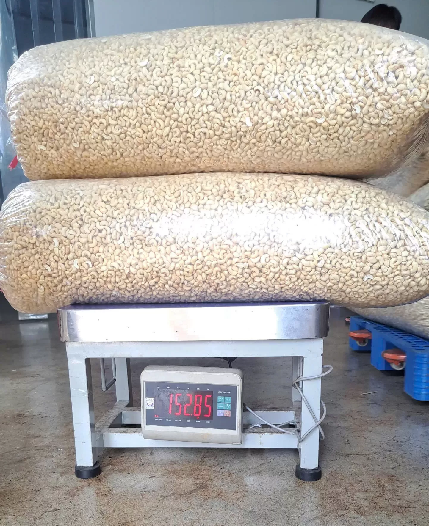 White Whole Cashew Nuts WW160, WW180, WW210